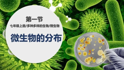人教版生物七年级上册2.3.1《微生物的分布》课件(共22张PPT)+视频素材