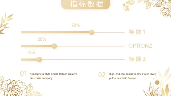 公司品牌营销策划方案工作总结PPT