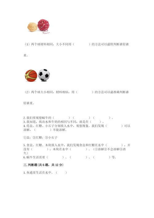 教科版一年级下册科学期末测试卷（研优卷）.docx