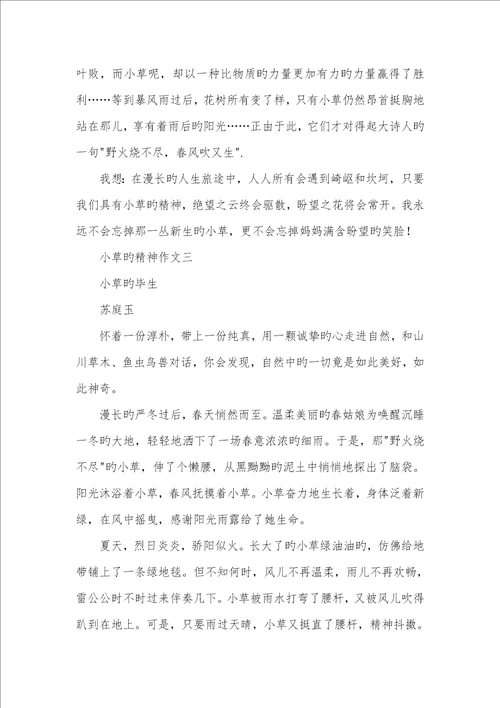 2022年小草的精神作文以小草精神为专题作文