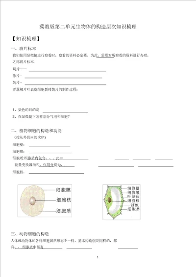 生物体的结构层次知识点汇总