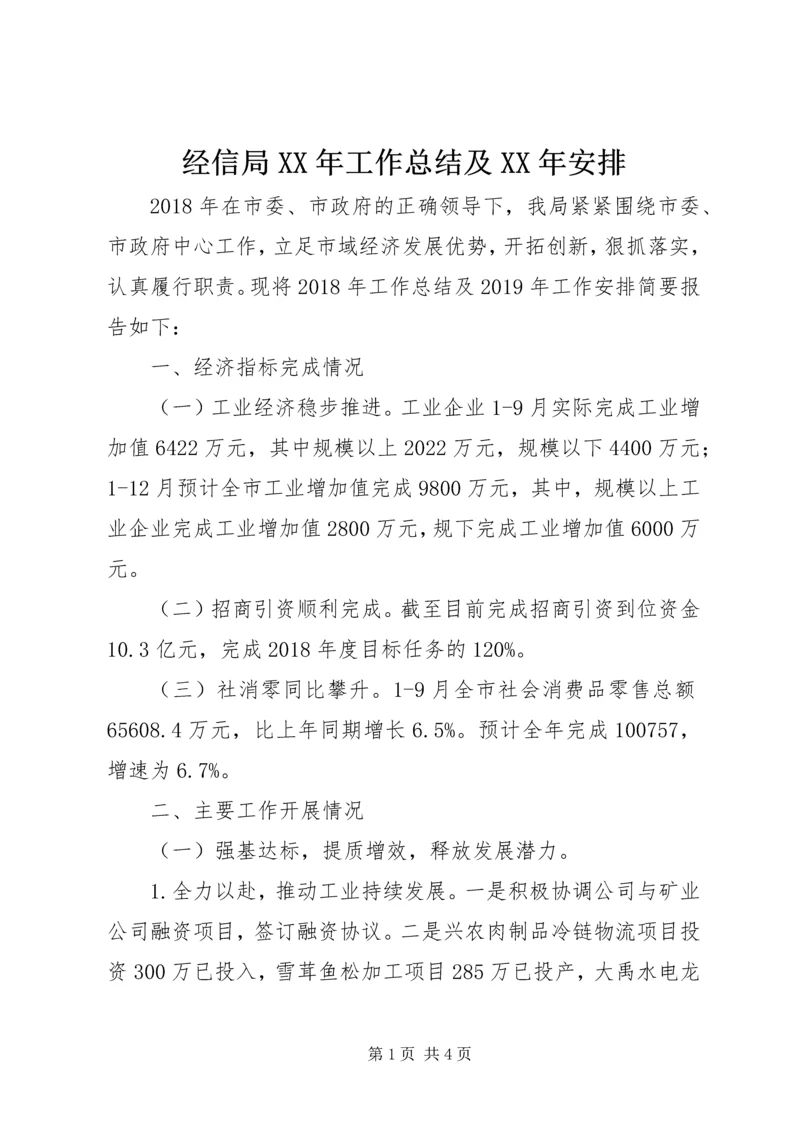 经信局XX年工作总结及XX年安排.docx