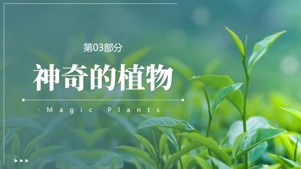 植物介绍笔记植物分类知识科普通用PPT模板