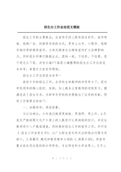 招生办工作总结范文模版.docx