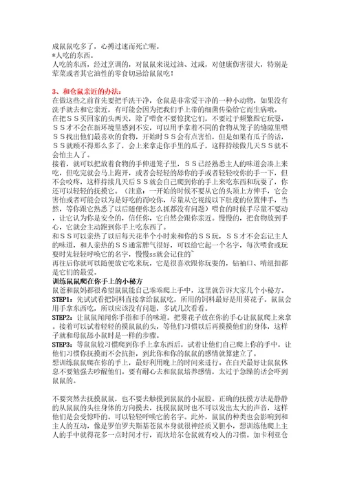 仓鼠饲养手册修订稿