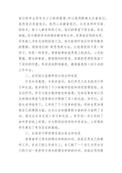教师暑假研修培训心得体会.docx