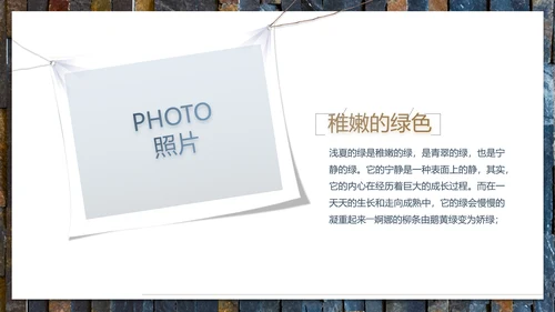 轻简文艺北欧风室内装饰设计方案汇报动态PPT