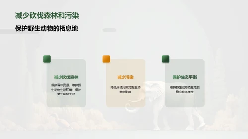 保护野生动物