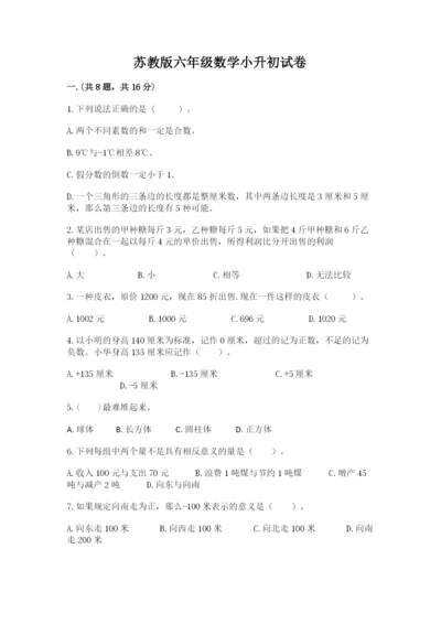 苏教版六年级数学小升初试卷附答案【b卷】.docx