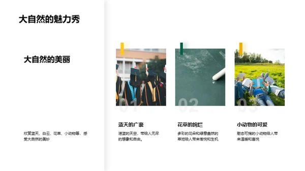 描绘生活美学