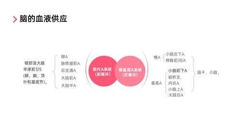 红色实拍后循环缺血护理查房医疗脑血管中风治疗诊断措施培训ppt