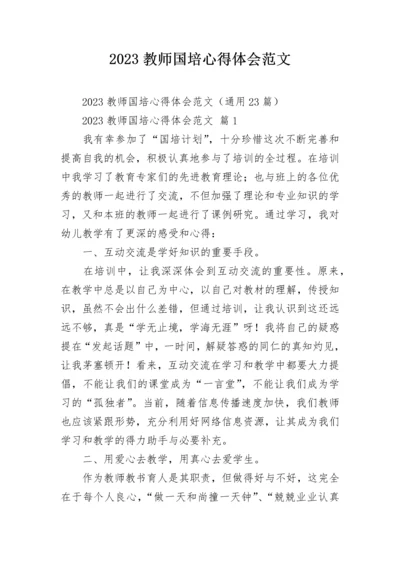 2023教师国培心得体会范文_1.docx