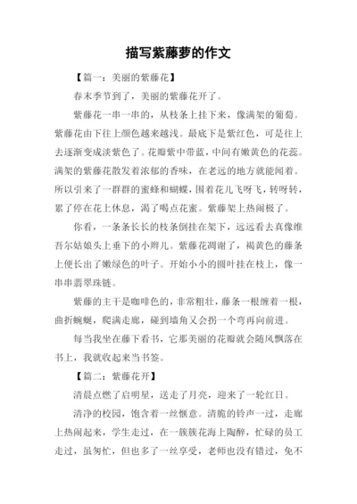描写紫藤萝的作文.docx