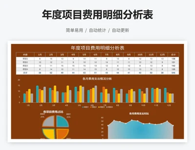 年度项目费用明细分析表