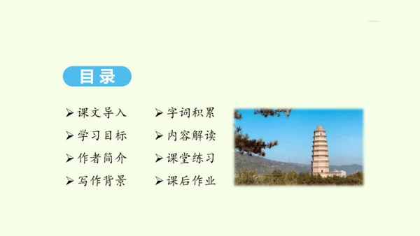 第2课 回延安 统编版语文八年级下册 同步精品课件