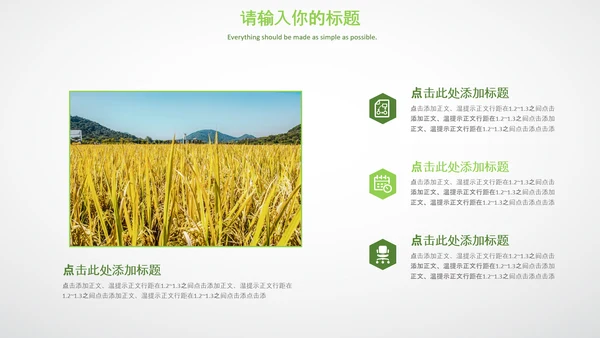 农业生产春耕三农新农村乡村振兴稻田水稻PPT