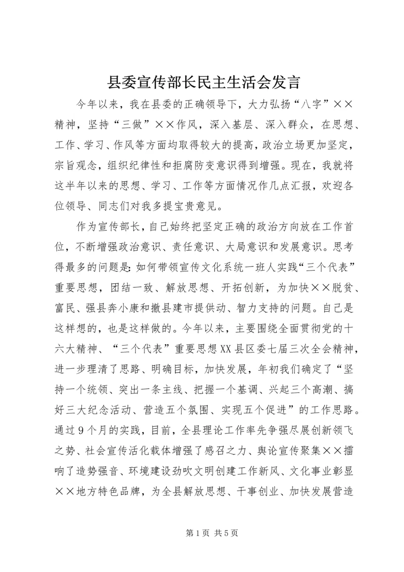 县委宣传部长民主生活会发言.docx