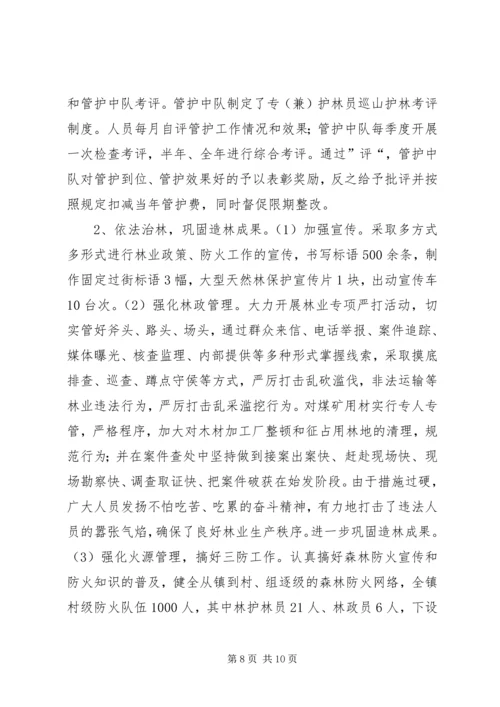 乡镇年度林业站农林工作总结.docx