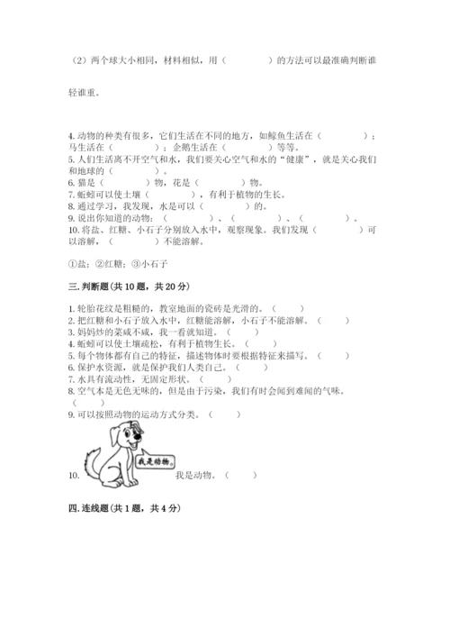 教科版一年级下册科学期末测试卷精品【名师推荐】.docx