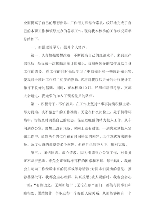 乡镇统计个人工作总结.docx