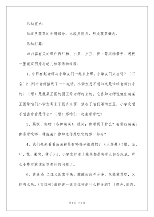 2022《认识蔬菜》中班教案.docx