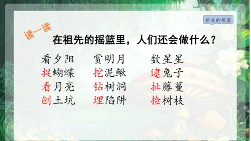 23祖先的摇篮 课件