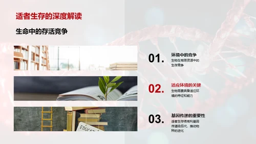 探索生物演化秘密