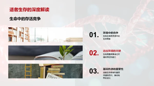 探索生物演化秘密