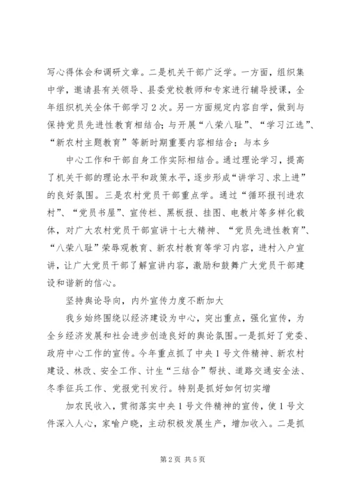 乡镇宣传思想工作总结及工作计划.docx