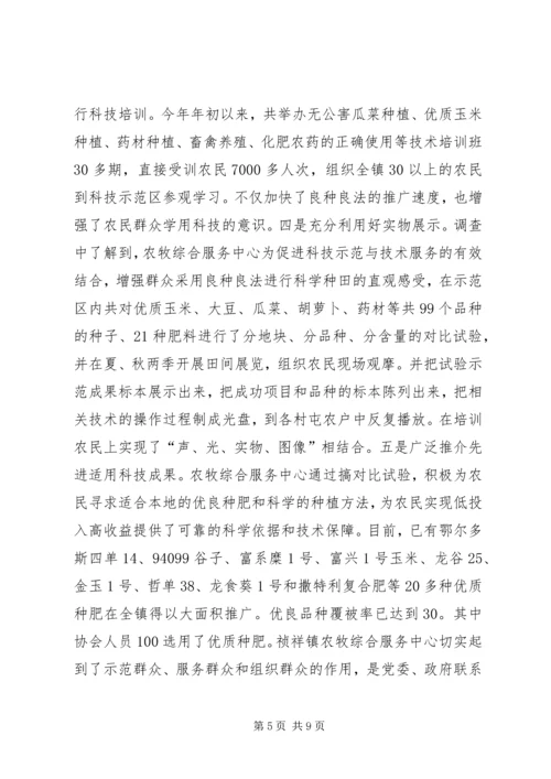 关于X镇农牧综合服务中心建设有关情况的调查.docx