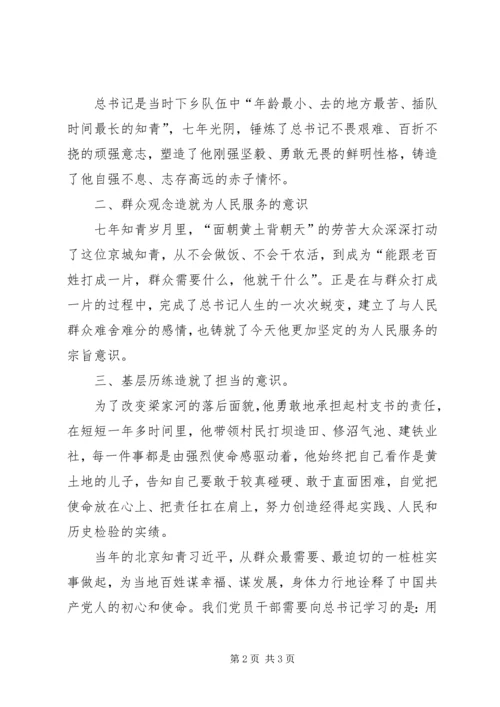 学习梁家河精神材料 (5).docx