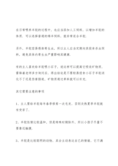 养宠物之后才没明白的心得体会.docx