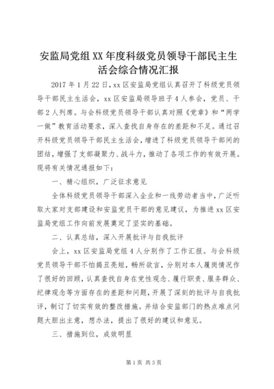 安监局党组XX年度科级党员领导干部民主生活会综合情况汇报.docx