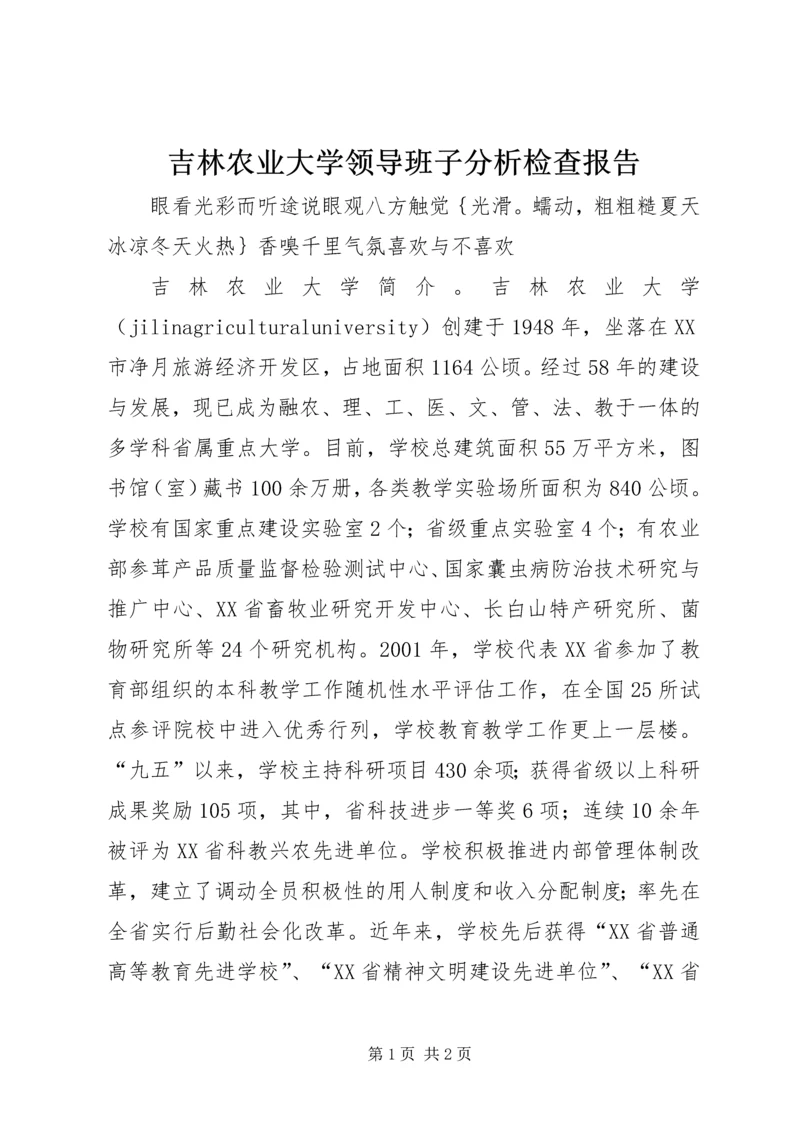 吉林农业大学领导班子分析检查报告 (2).docx