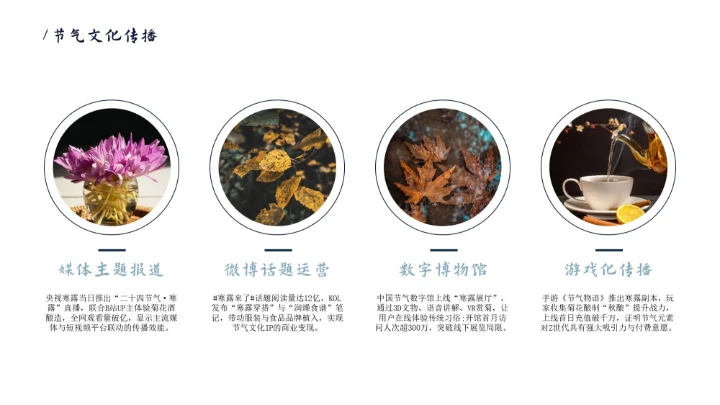 瓷青色简约风寒露节气PPT模版