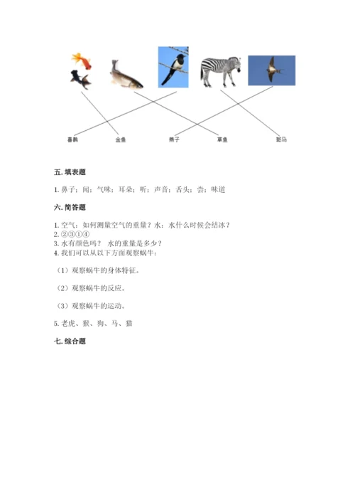 教科版小学科学一年级下册期末测试卷含完整答案【夺冠系列】.docx