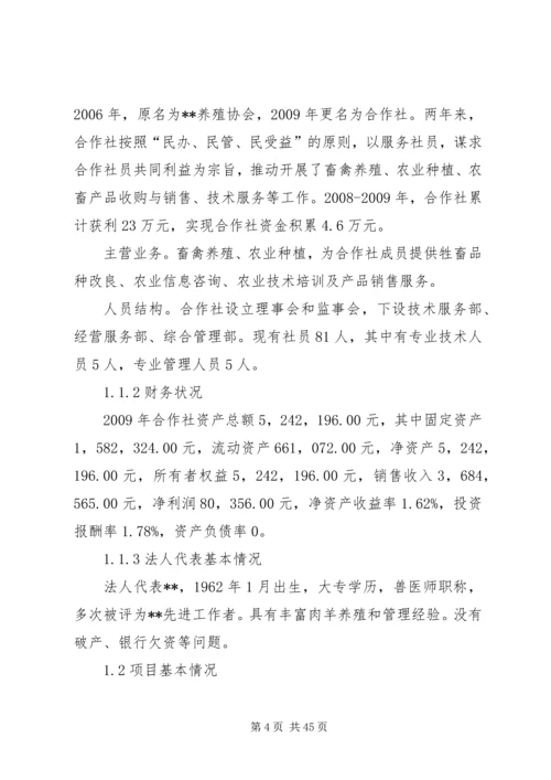 羊叉河综合方案可行性研究报告 (3).docx