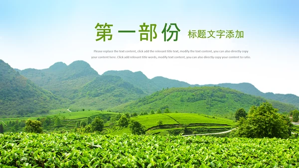 清新茶叶茶道春茶农村旅游茶园绿茶红茶PPT