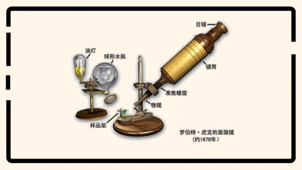 2.1.1练习使用显微镜课件2023--2024学年人教版生物七年级上册(共32张PPT)
