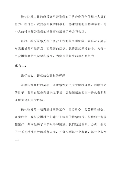 扶贫驻村获奖感言