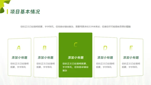 乡村振兴项目工作报告通用PPT模板
