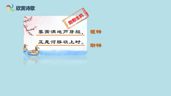 1 古诗三首  惠崇春江  晚景   课件