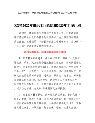 20230317：XX镇2022年组织工作总结和2023年工作计划.docx