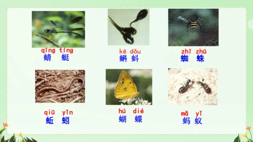 识字（二）5动物儿歌（课件）