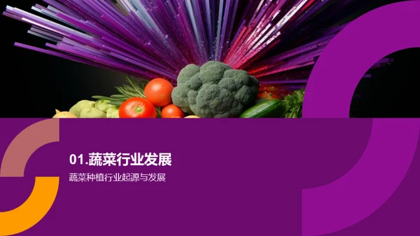 蔬菜市场全探秘