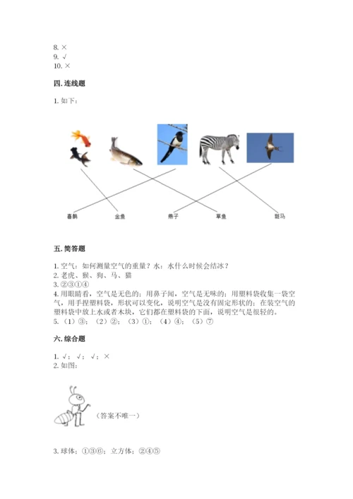 教科版一年级下册科学期末测试卷（精品）word版.docx