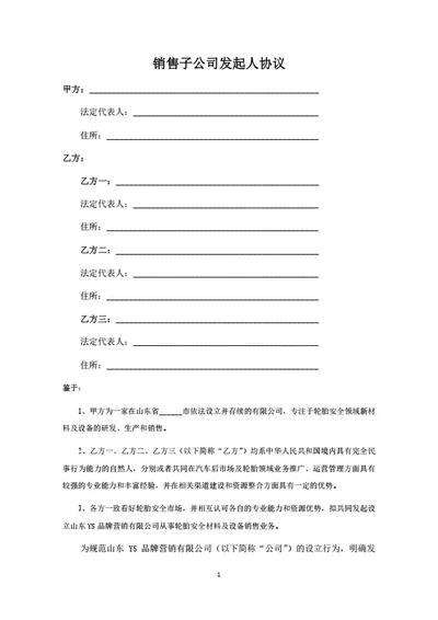 销售子子公司发起人协议（律师拟定详细版）