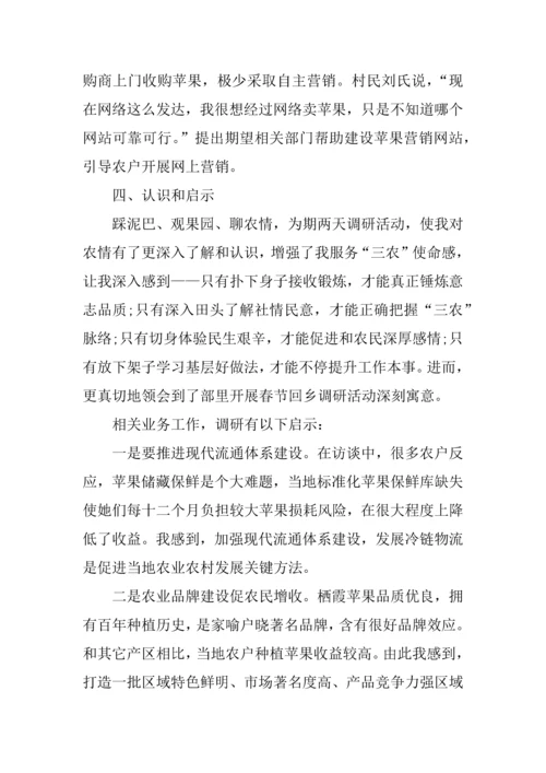 个人回乡调研研究报告.docx