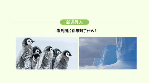 11.1 冰雪覆盖的地区 科学考察的宝地（课件34张）-2024-2025学年七年级地理下学期人教版