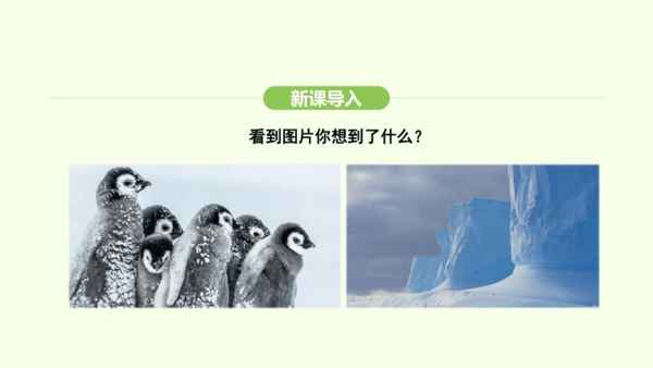 11.1 冰雪覆盖的地区 科学考察的宝地（课件34张）-2024-2025学年七年级地理下学期人教版